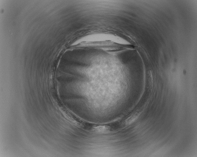 X0000053080269200508012014