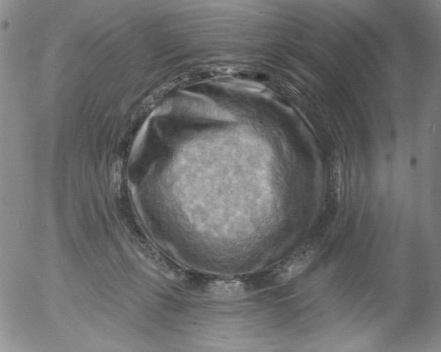 X0000053080271200508012014