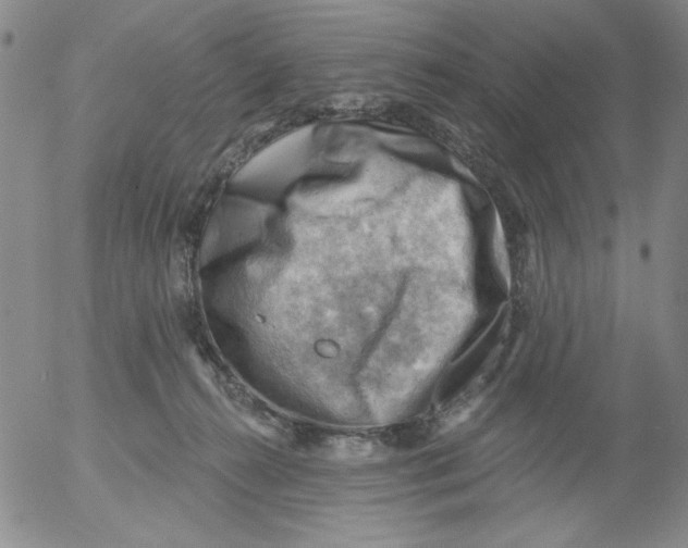 X0000053080272200508012014