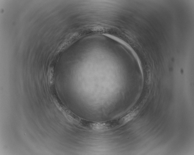 X0000053080273200508012014