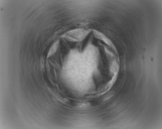 X0000053080274200508012014