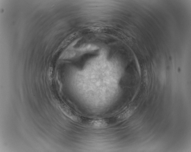 X0000053080275200508012014