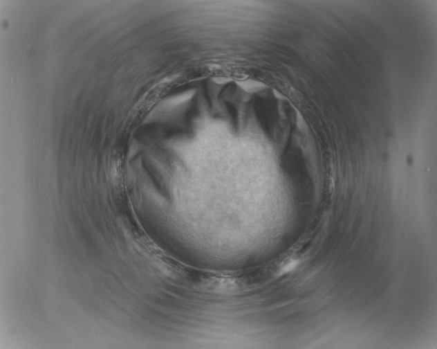 X0000053080276200508012014