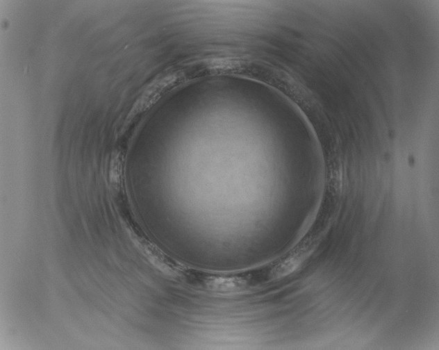 X0000053080277200508012014