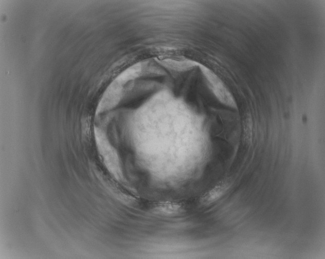 X0000053080278200508012014