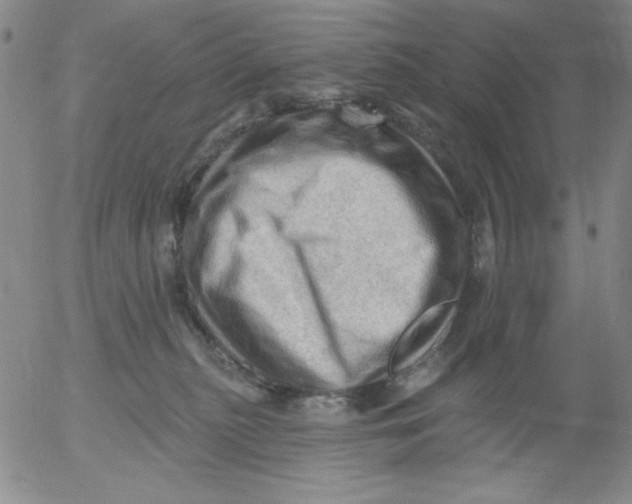 X0000053080279200508012014