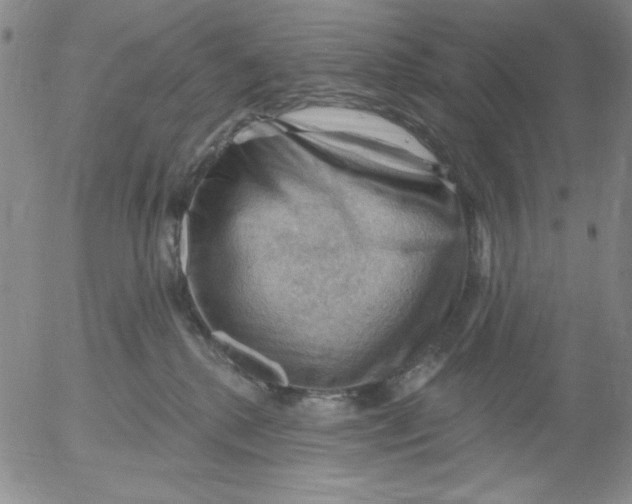 X0000053080280200508012014