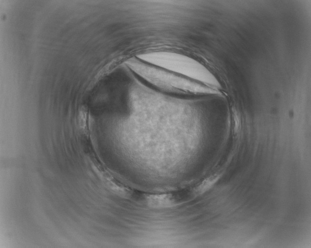 X0000053080281200508012014