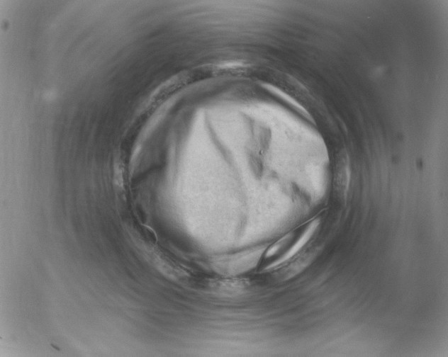 X0000053080282200508012014