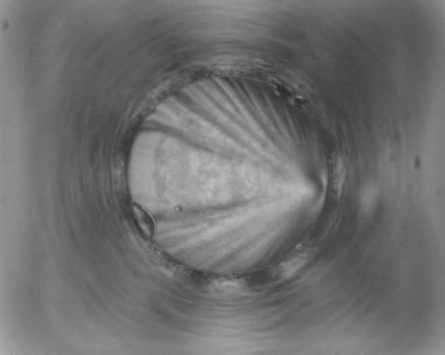 X0000053080283200508012014