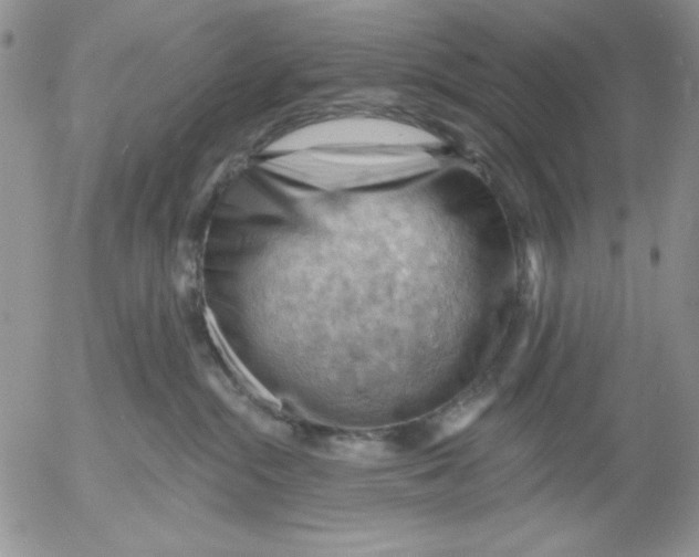 X0000053080284200508012014