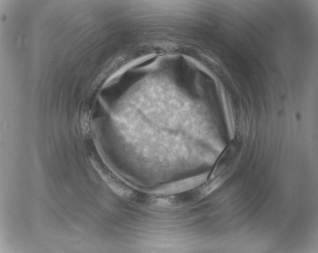 X0000053080285200508012014