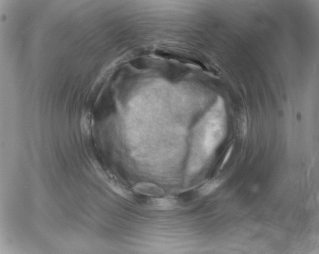 X0000053080286200508012014