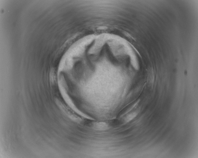 X0000053080287200508012014