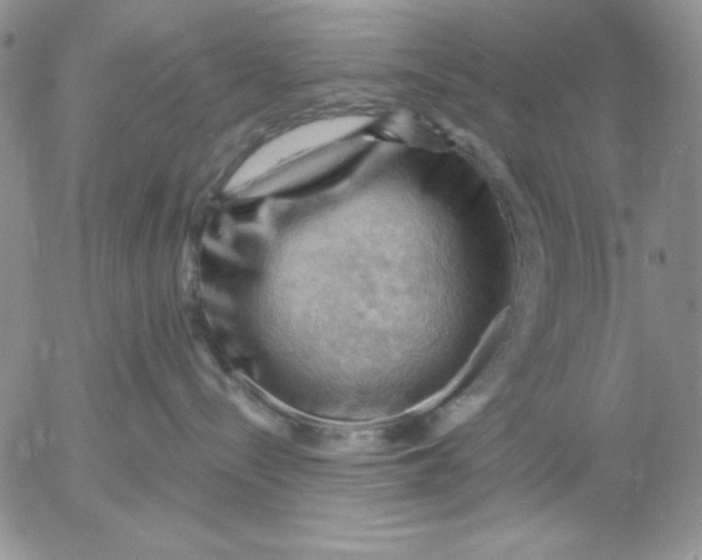 X0000053080288200508012014