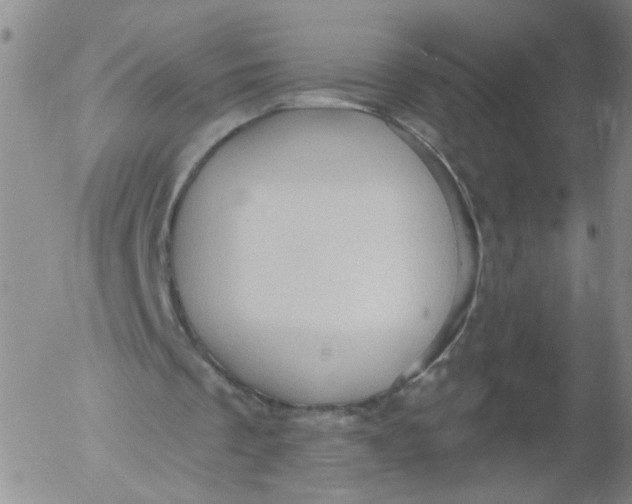 X0000053080289200508012013