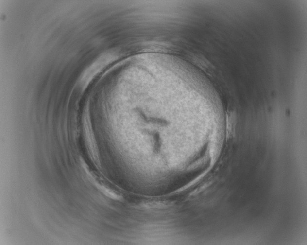 X0000053080291200508012013