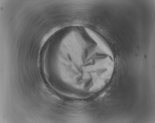 X0000053080292200508012013