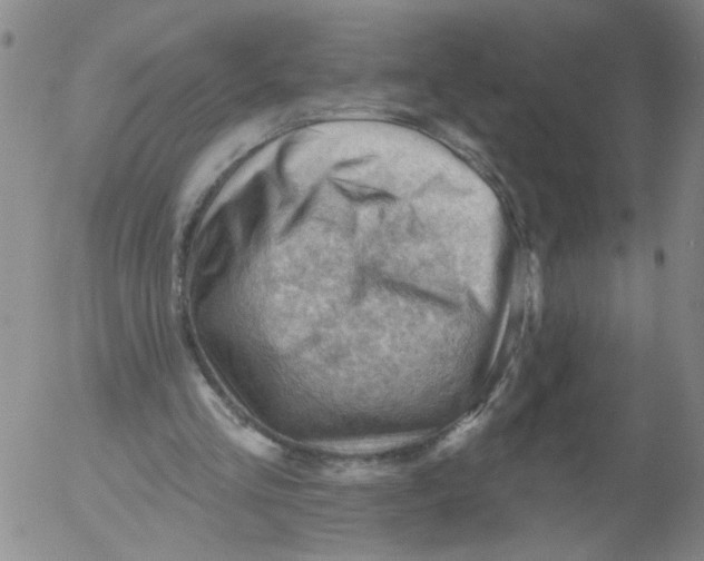 X0000053080293200508012013