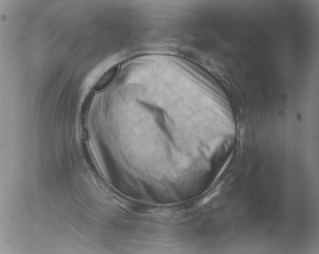 X0000053080294200508012013