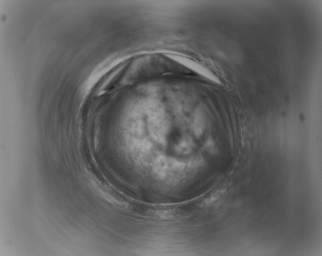 X0000053080295200508012013