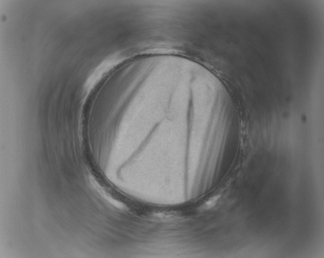 X0000053080296200508012013