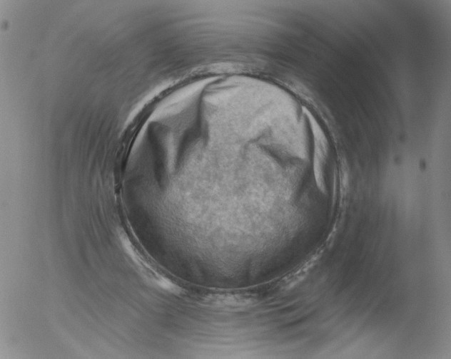 X0000053080297200508012013