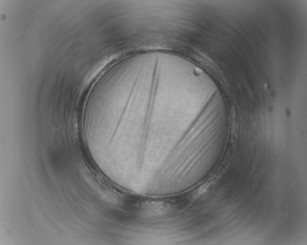 X0000053080298200508012013