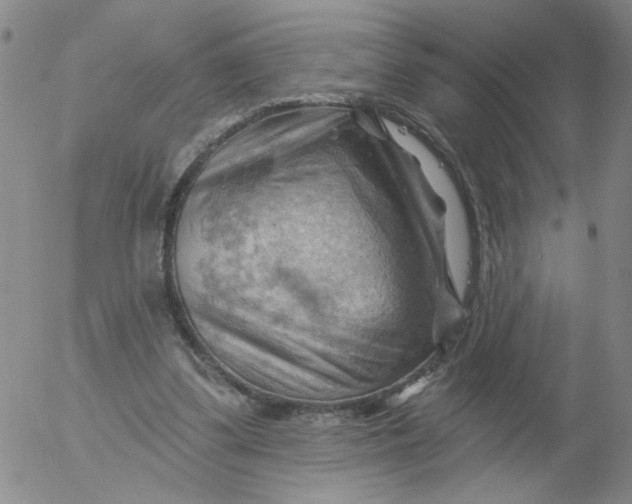 X0000053080299200508012013