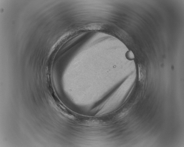 X0000053080300200508012013