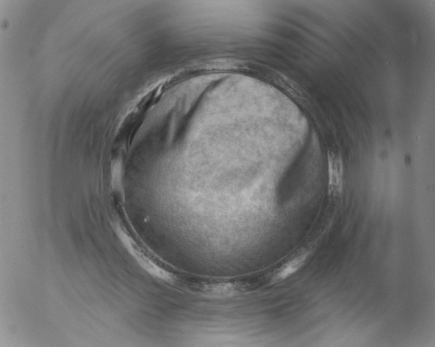 X0000053080301200508012013