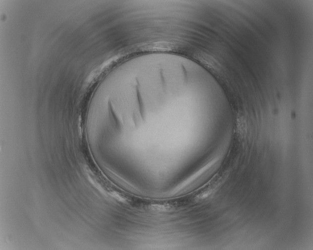 X0000053080302200508012013