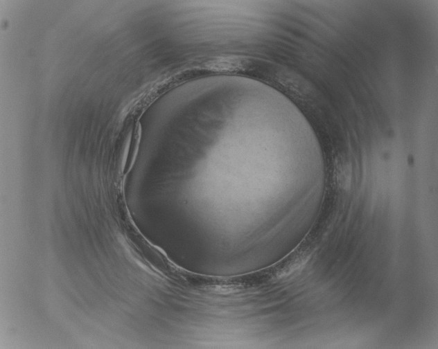 X0000053080303200508012013