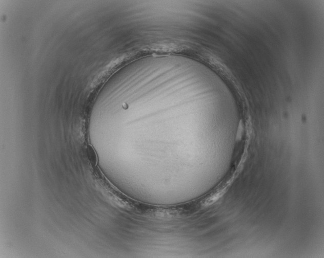 X0000053080305200508012013