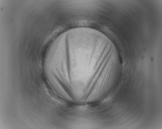 X0000053080306200508012013