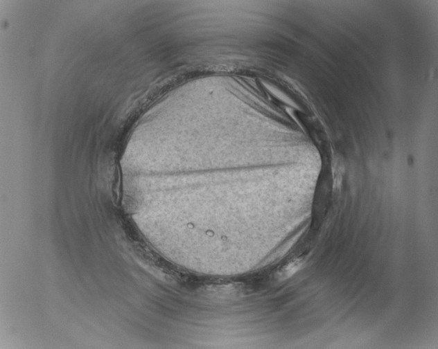 X0000053080307200508012013