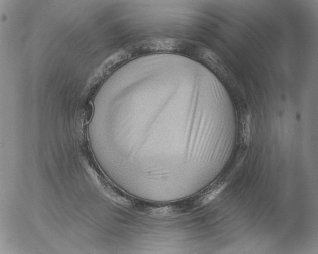 X0000053080309200508012013