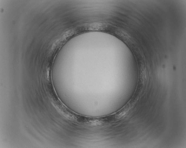 X0000053080310200508012013