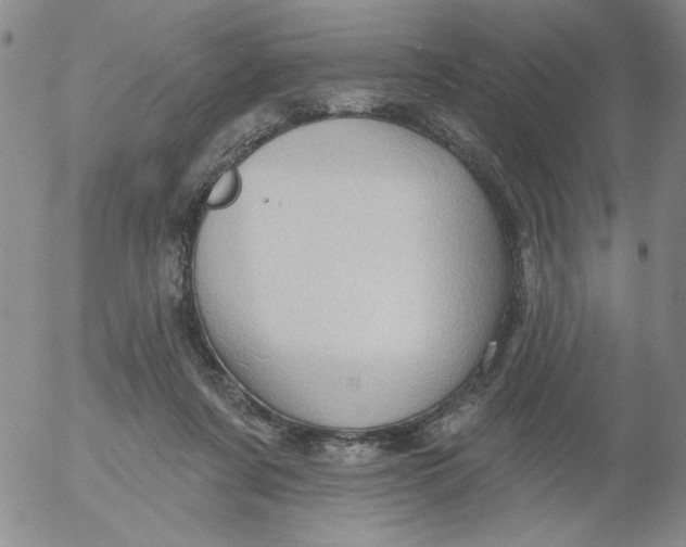 X0000053080311200508012013