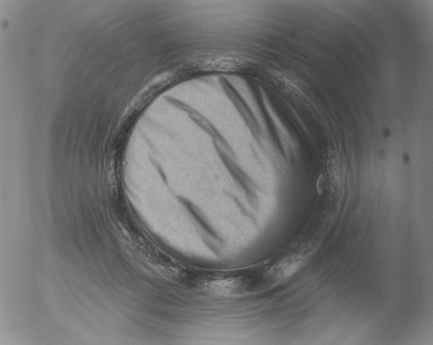 X0000053080312200508012013