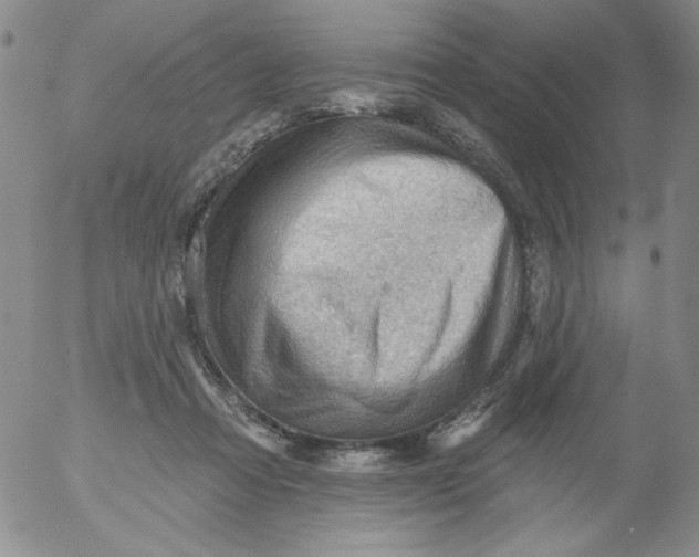 X0000053080313200508012013