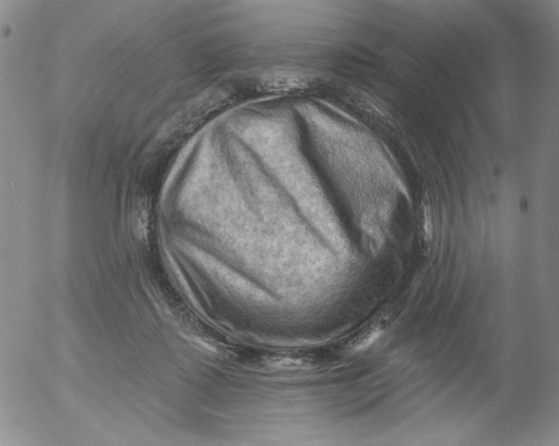 X0000053080315200508012013