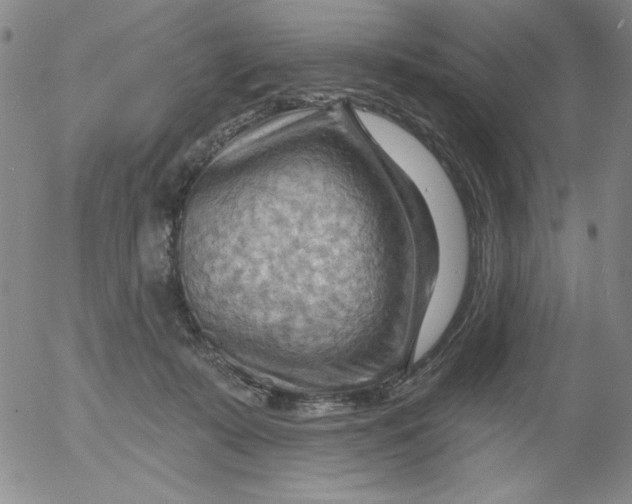 X0000053080319200508012013