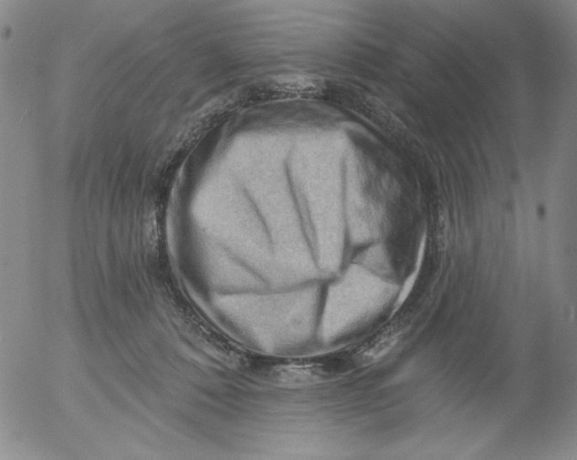 X0000053080320200508012013