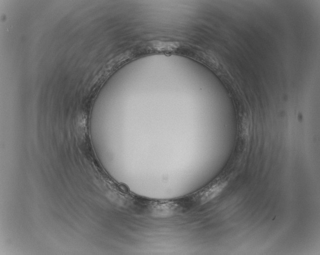 X0000053080321200508012013