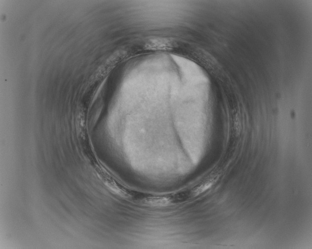 X0000053080322200508012013