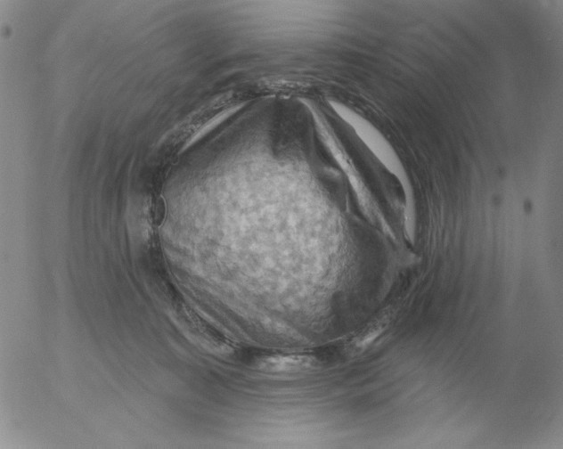 X0000053080323200508012013