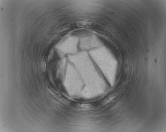 X0000053080324200508012013