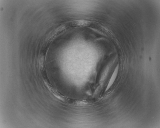 X0000053080325200508012013