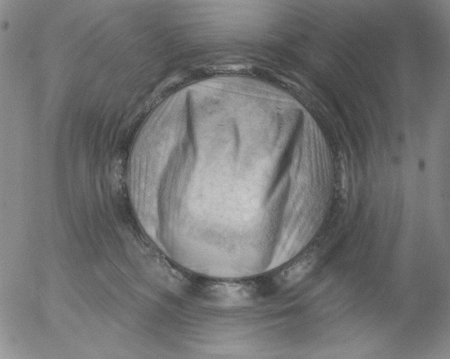 X0000053080326200508012013